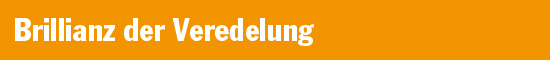 /fileadmin/user_upload/bulletpoints_02_brillianz_der_veredelung.jpg